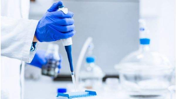 個人親子鑒定如何采取樣本？