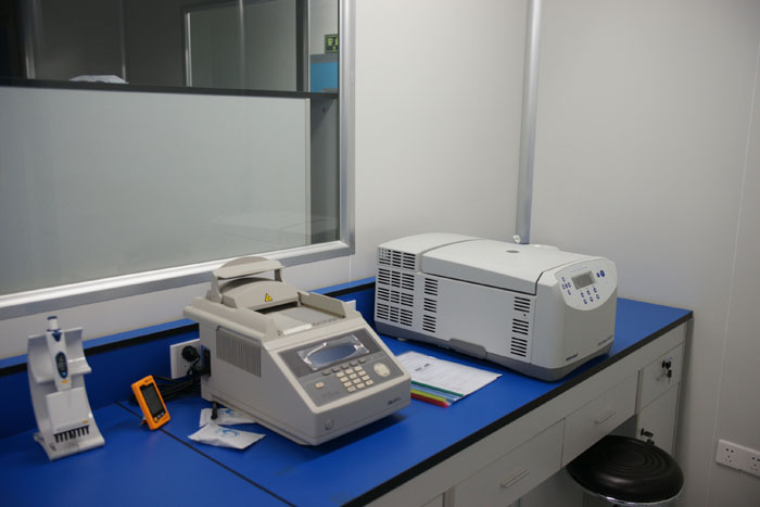 親子鑒定費用多少合適?詳細解析